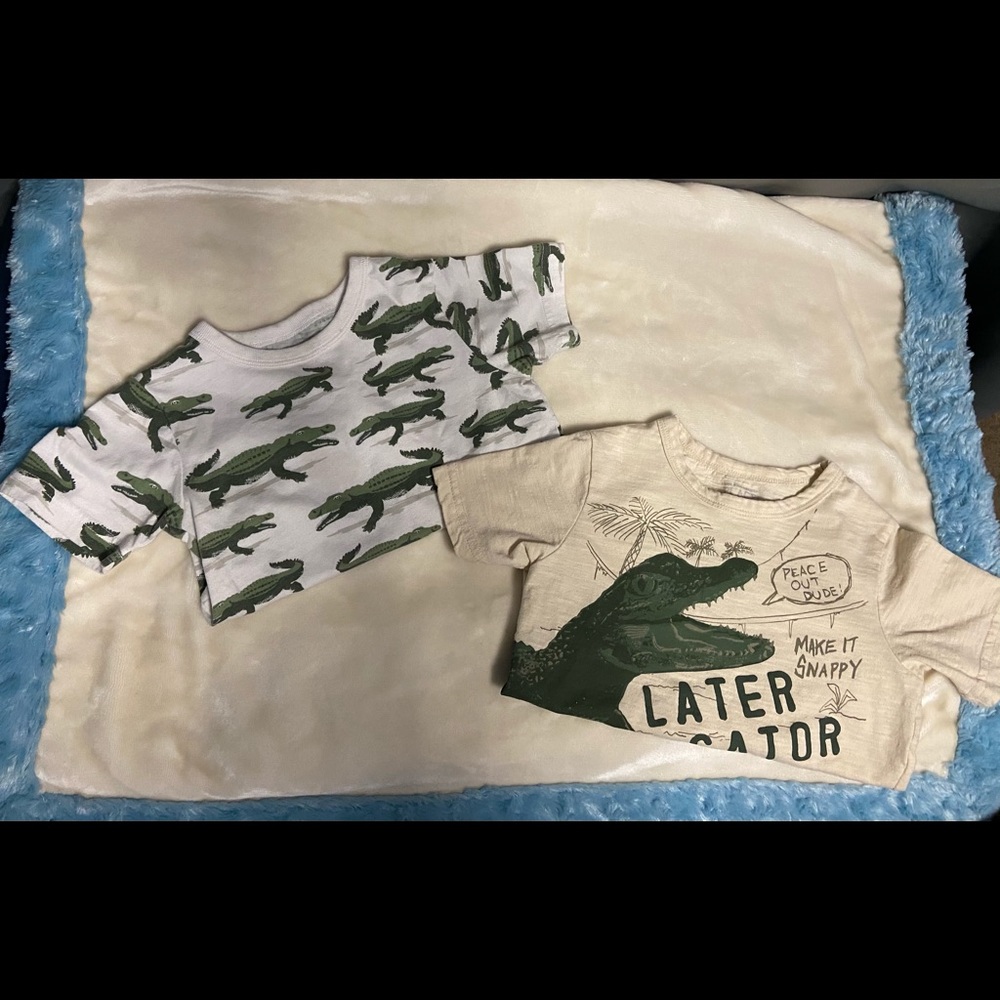 Alligator bundle